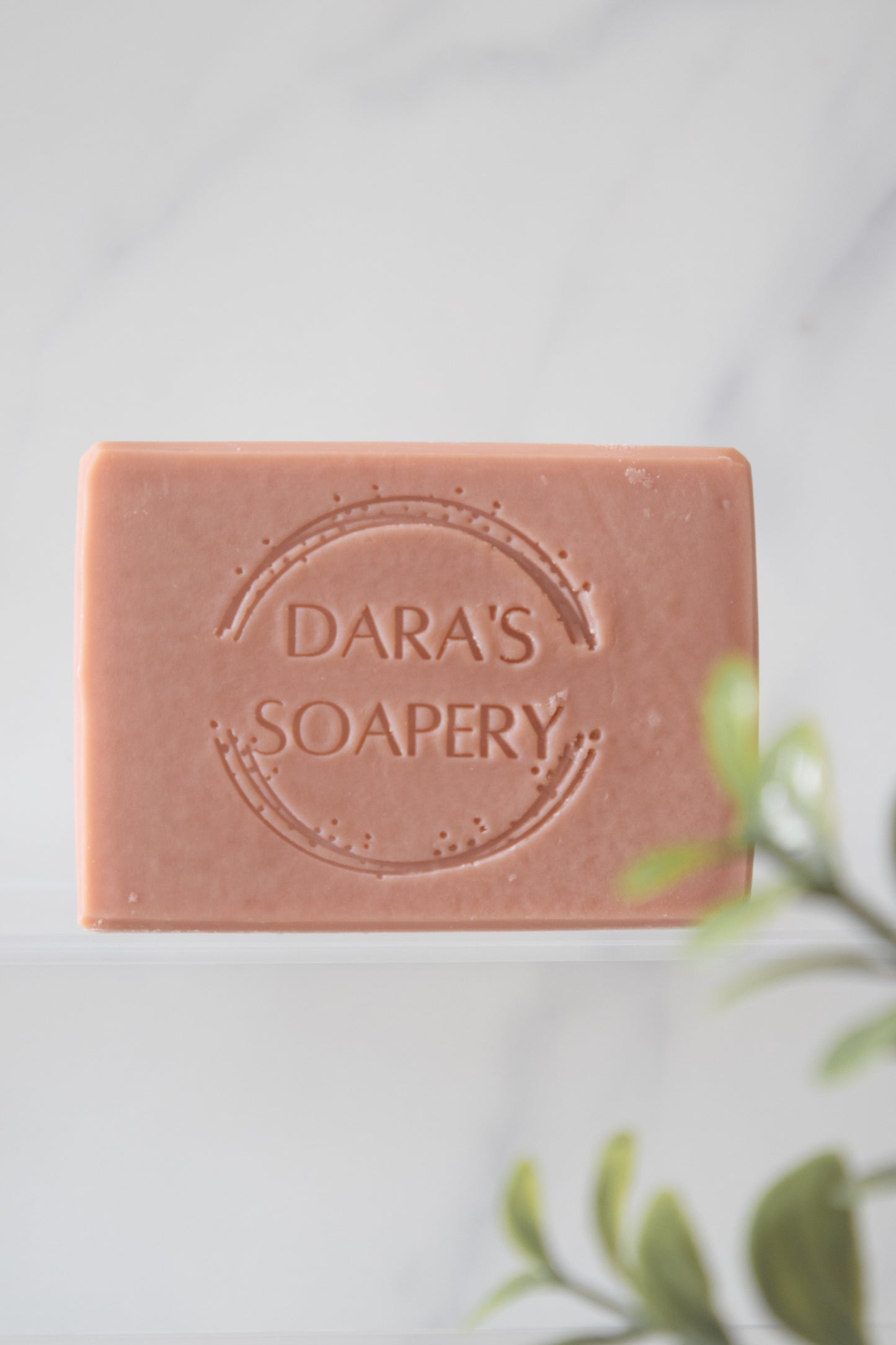 Grapefruit Bliss
